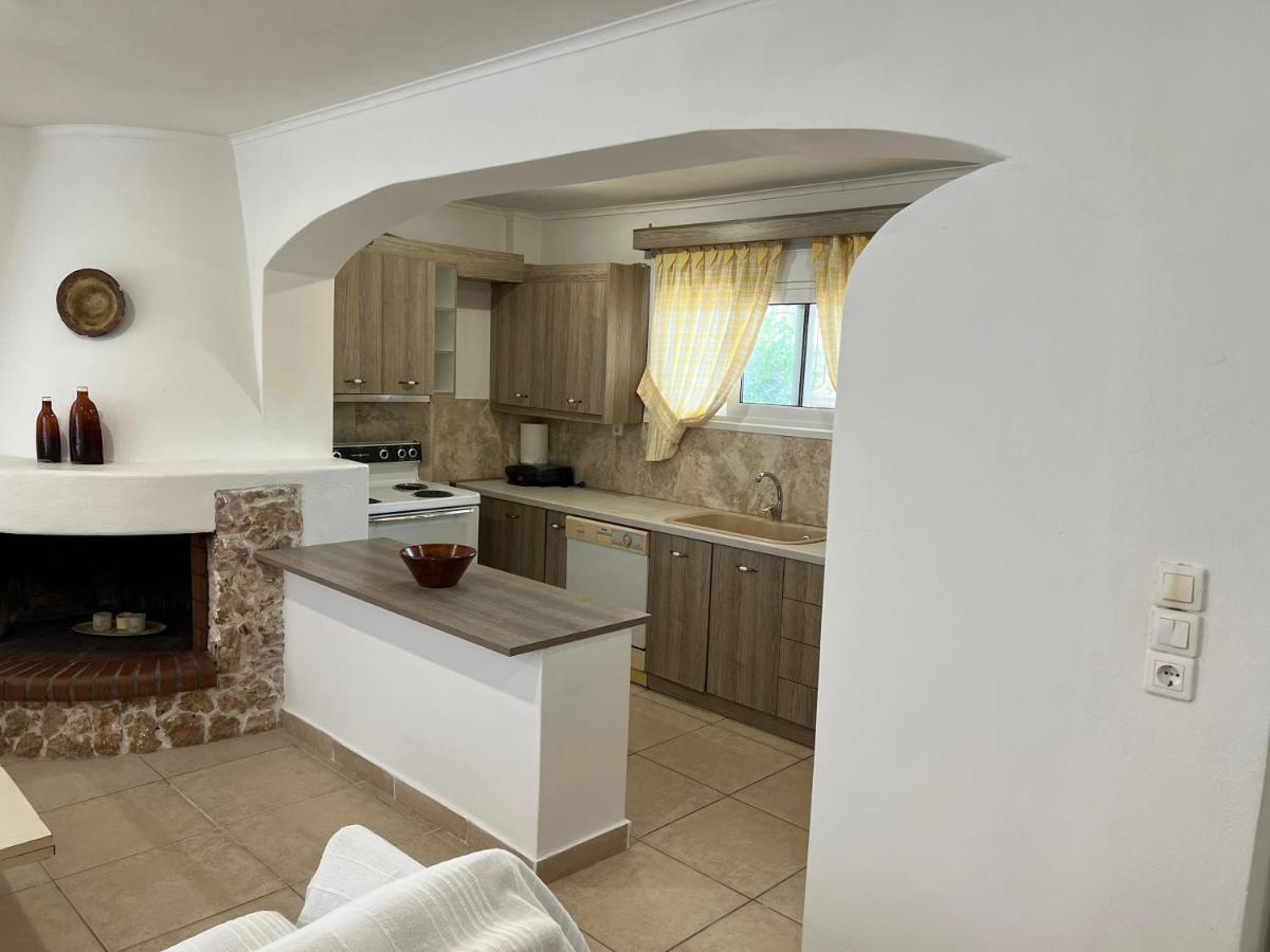 Apartment In Salamina With Garden & Sea View Selinia Dış mekan fotoğraf